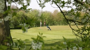A grassy field with a person playing golf. - Bubble Bath Villa Escape (Bad Bentheim)