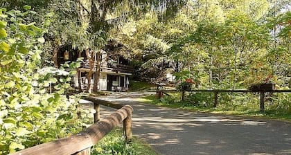 Chalet in Reinskopf With Fireplace & Balcony