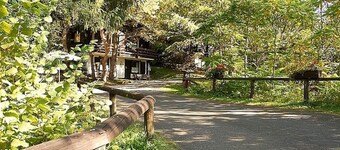 Chalet in Reinskopf With Fireplace & Balcony