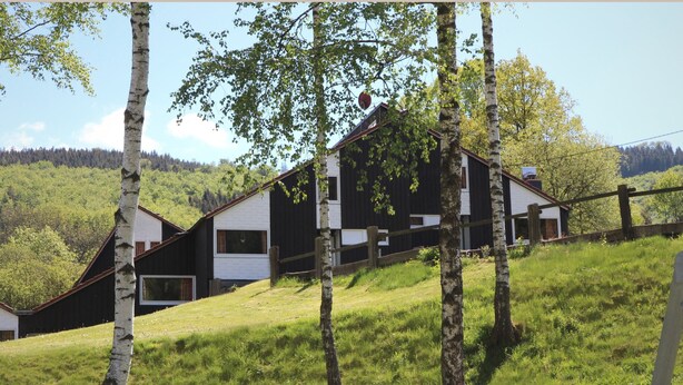 A modern house with a sloped roof, surrounded by birch trees and a grassy hill. - Ferienhaus im Hochsauerland mit Terrasse (Bestwig)