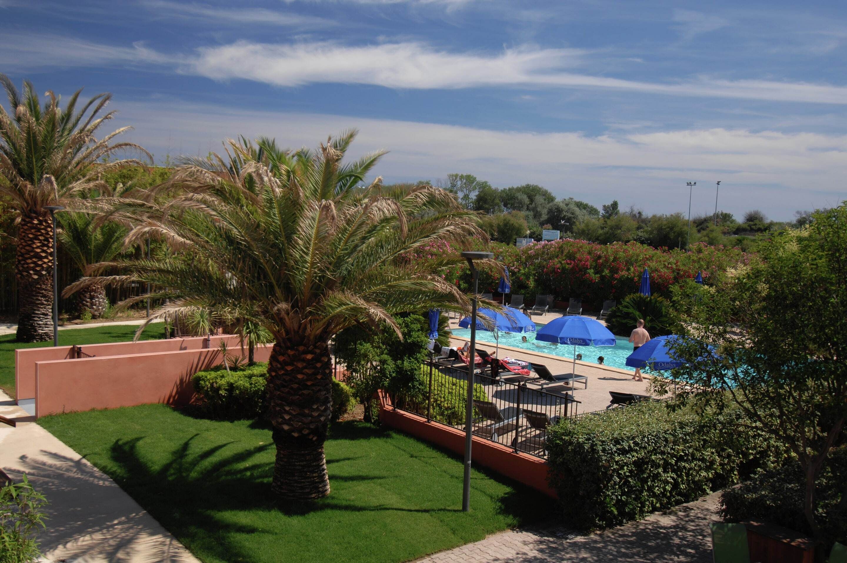A pool area with umbrellas, palm trees, and a clear sky.