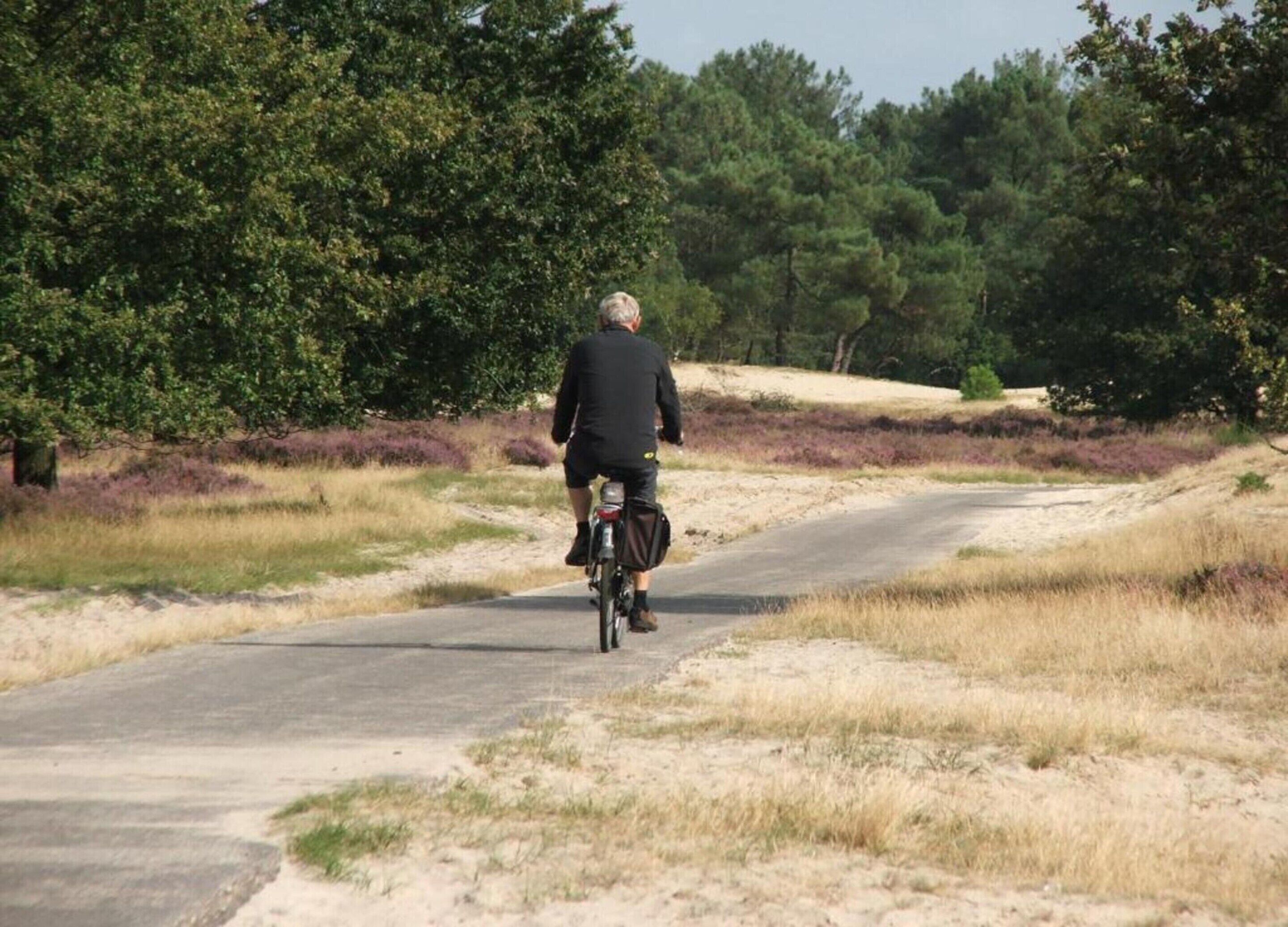 A person riding a bicycle on a paved path surrounded by dry grass and trees.