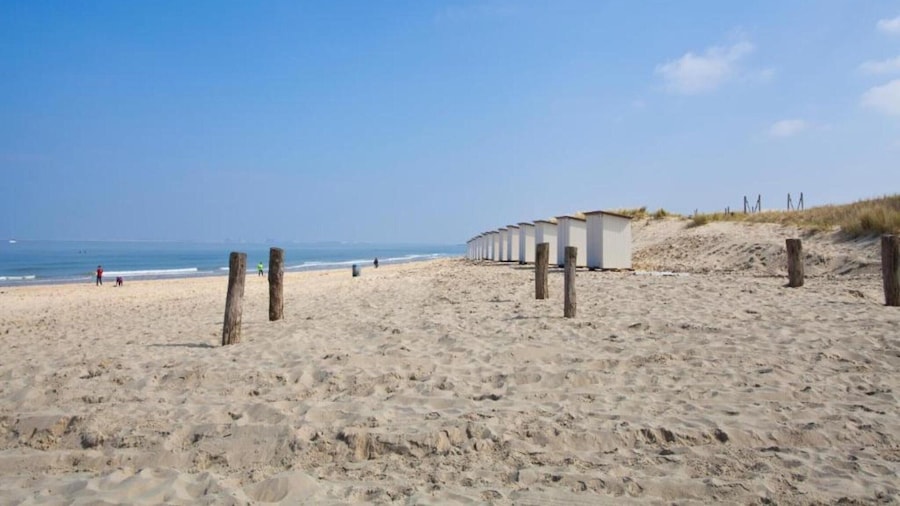Modern Home by the Beach