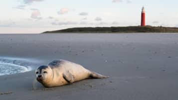 Apartment | View from property