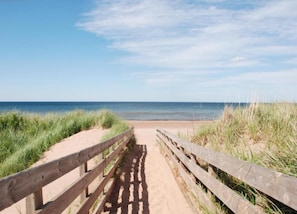 Bungalow | View from property - Luxury Chalet Near Beach (Kamperland)