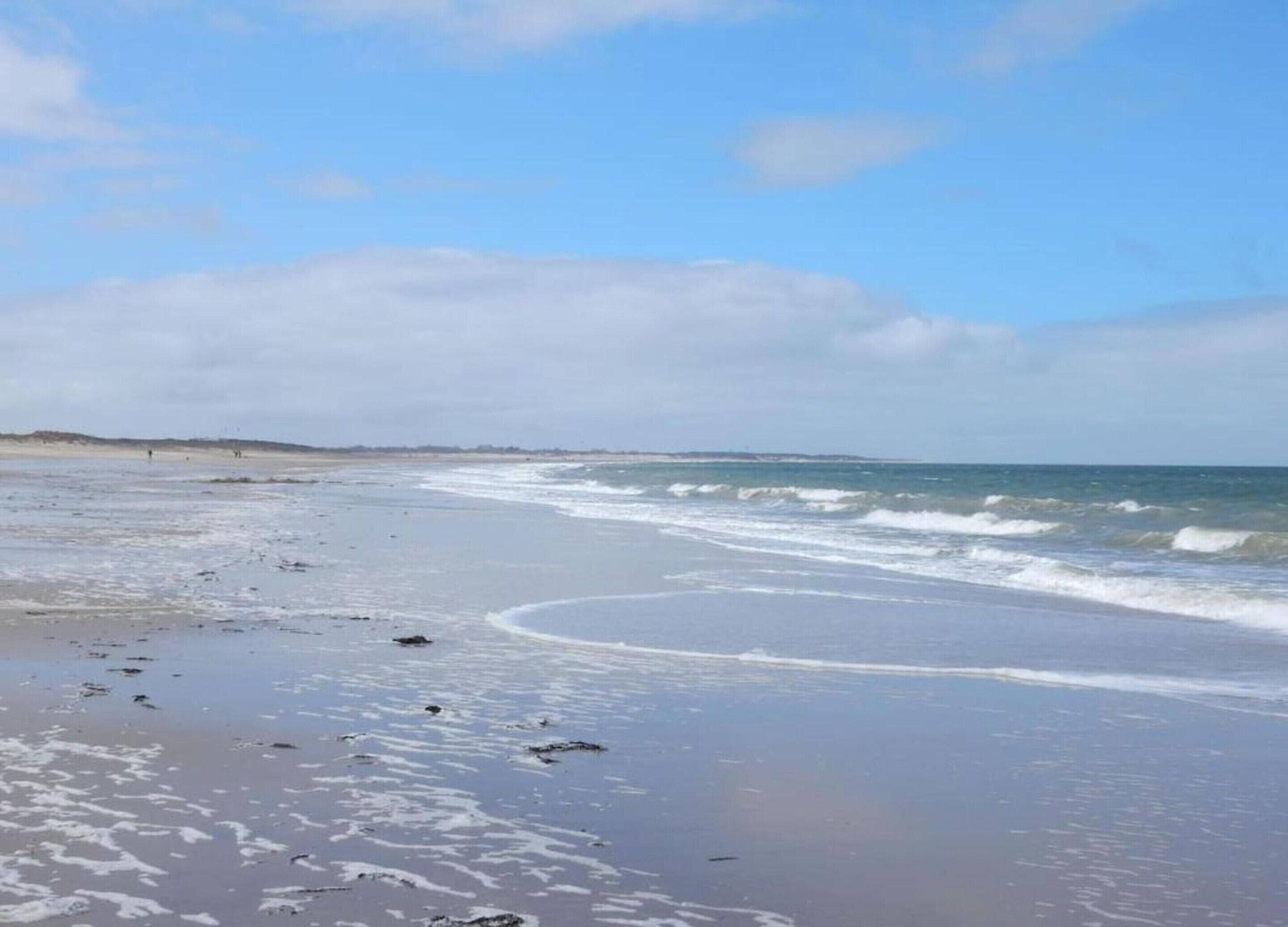 A beach with waves, a clear sky, and distant land.