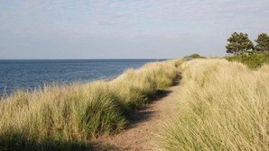 A coastal path with tall grass and a clear view of the sea. - Luxury Chalet Near Beach (Kamperland)