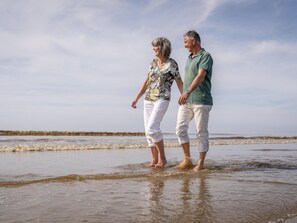 House | View from property - Special, Compound Group Accommodation, Near the Sea (Zandvoort)