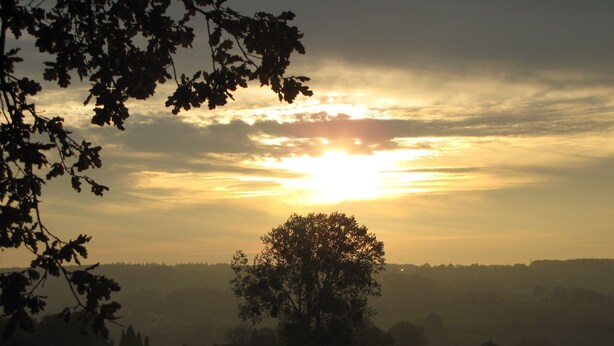Oklassificerad bild, 1 av 31, knapp