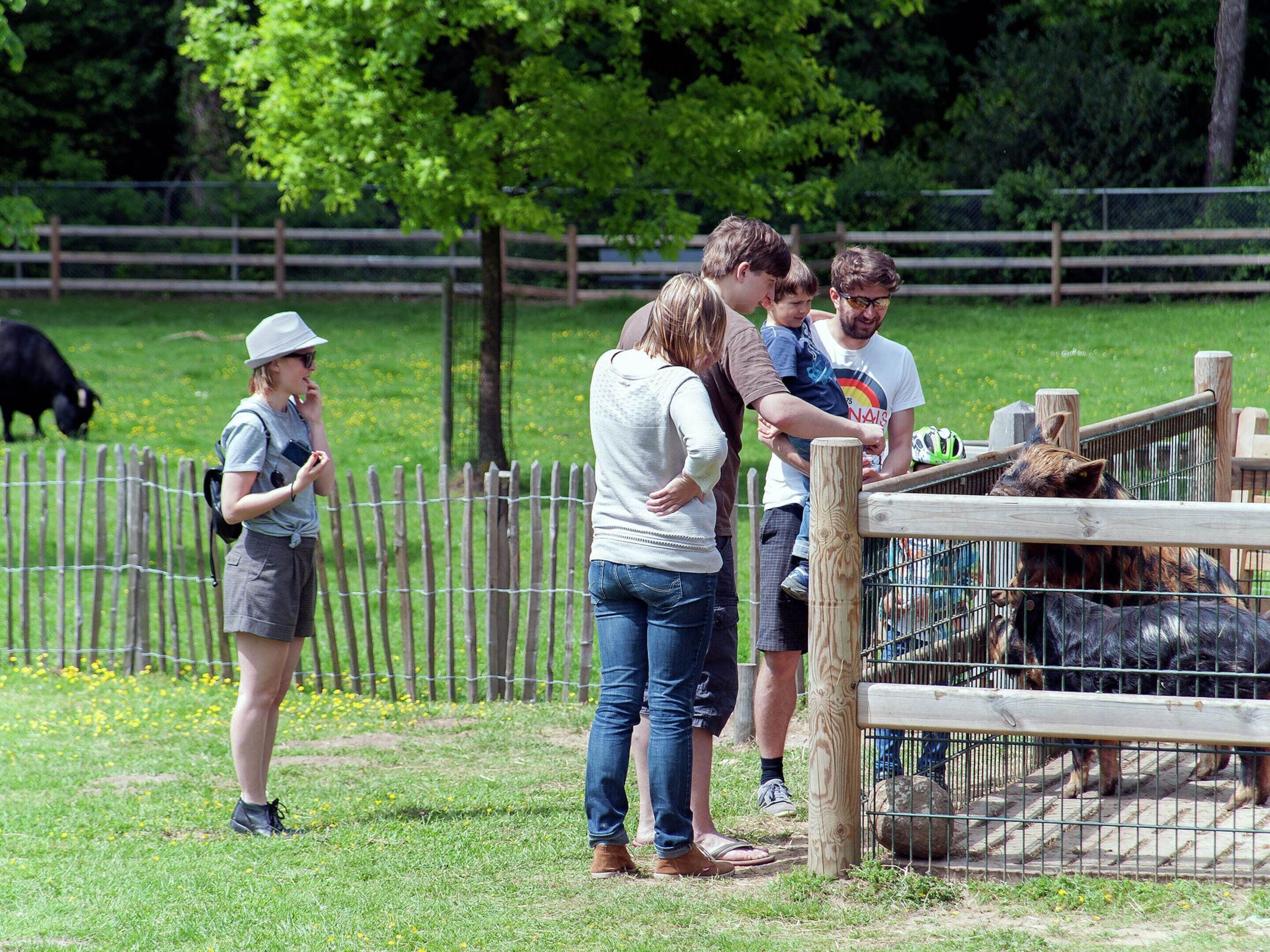 A group of people standing near a wooden fence at a zoo, observing animals in a pen.
