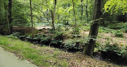 Country House with Terrace near Langweerder Wielen