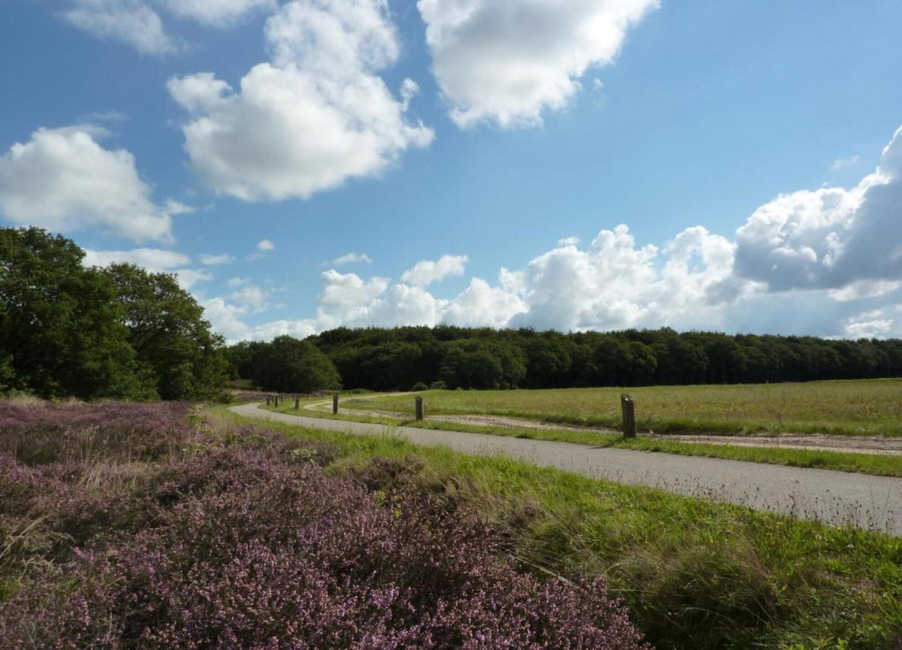 Un camino serpentea por un paisaje natural con cielo despejado y algunas nubes.