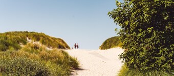 Well-kept Bungalow With Dishwasher Near the Beach