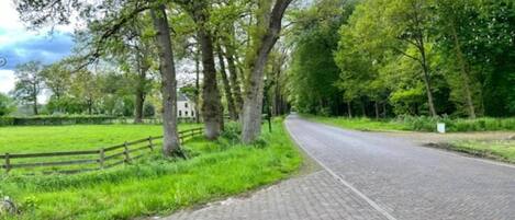 A paved rural road flanked by trees and a grassy field.