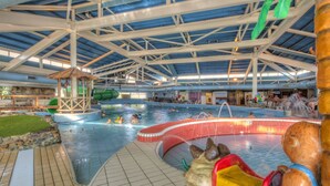 Pool - Well Furnished Bungalow with Microwave near Nature Reserve (Weert)