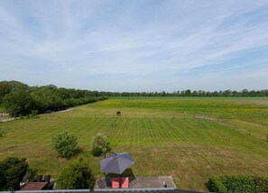House | View from property