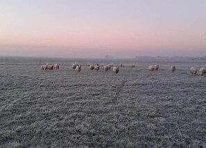 Ferienhaus | Blick von der Unterkunft