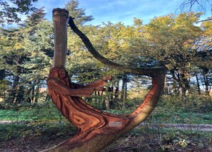 Ferienhaus | Blick von der Unterkunft