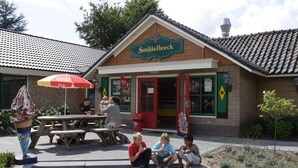 Outdoor dining - Furnished Chalet with a Terrace near Veluwe (Voorthuizen)