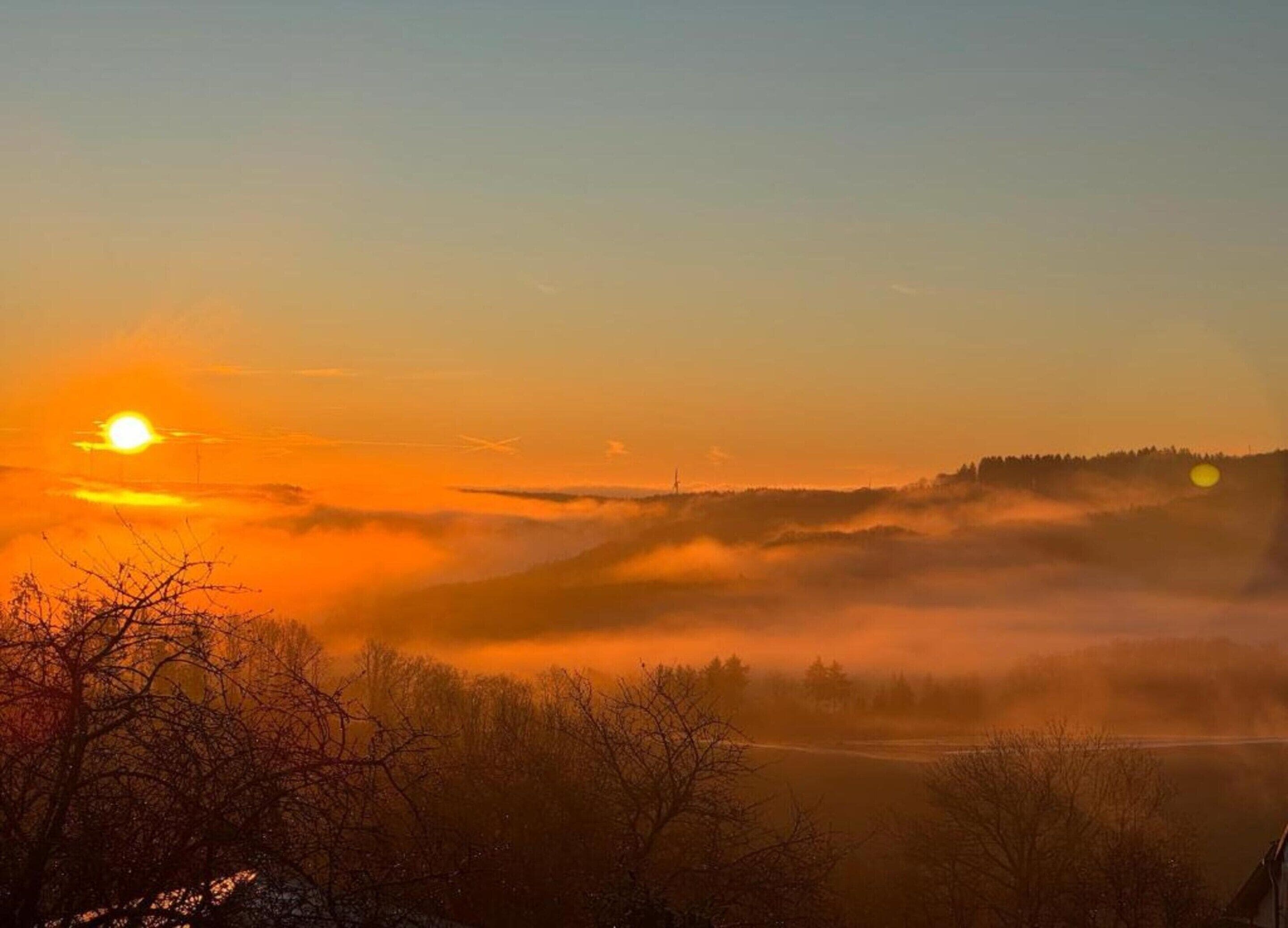 A sunrise over a misty landscape with trees and a clear sky.