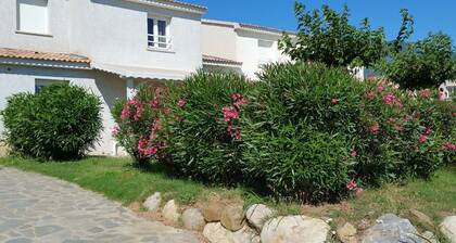 Beautiful, Comfortably Furnished Holiday Home in Corsica
