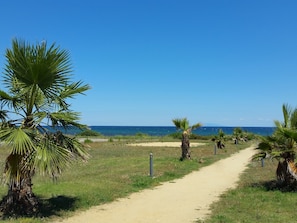 Exterior - Beautiful, Comfortably Furnished Holiday Home in Corsica (Cervione)
