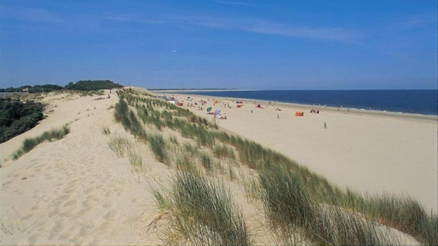 Een strand met duinen en een heldere lucht.