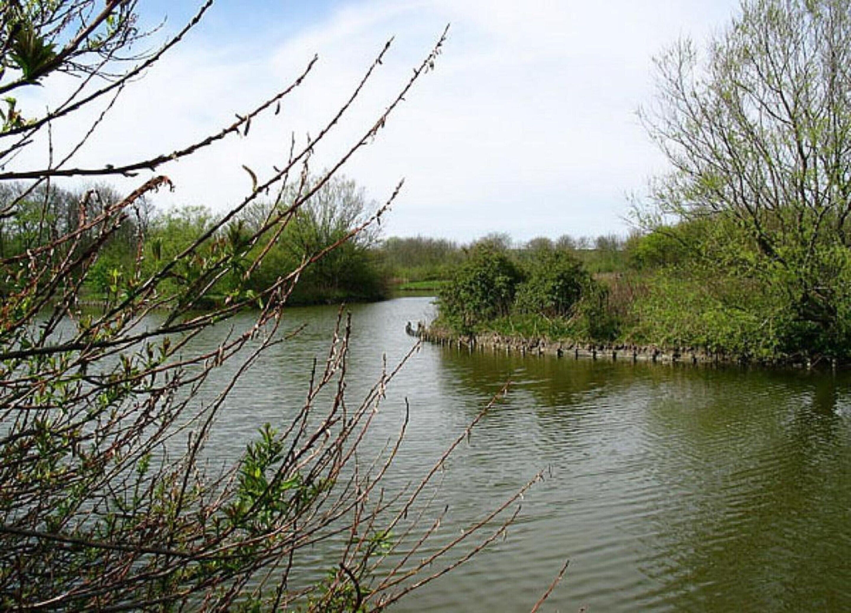 A calm river with trees and bushes along the banks.
