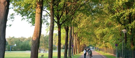 A tree-lined pathway in a park with benches and a sign indicating a distance of 1 km.