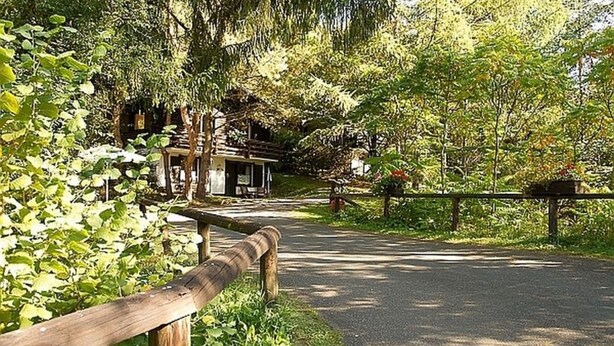 A paved pathway leading to a rustic building with a wooden fence.