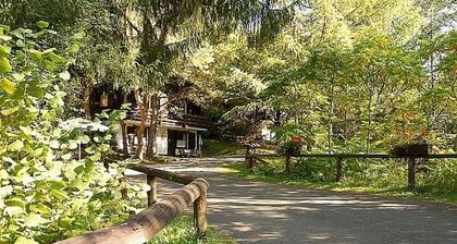 Chalet in Germany With Fireplace & Terrace
