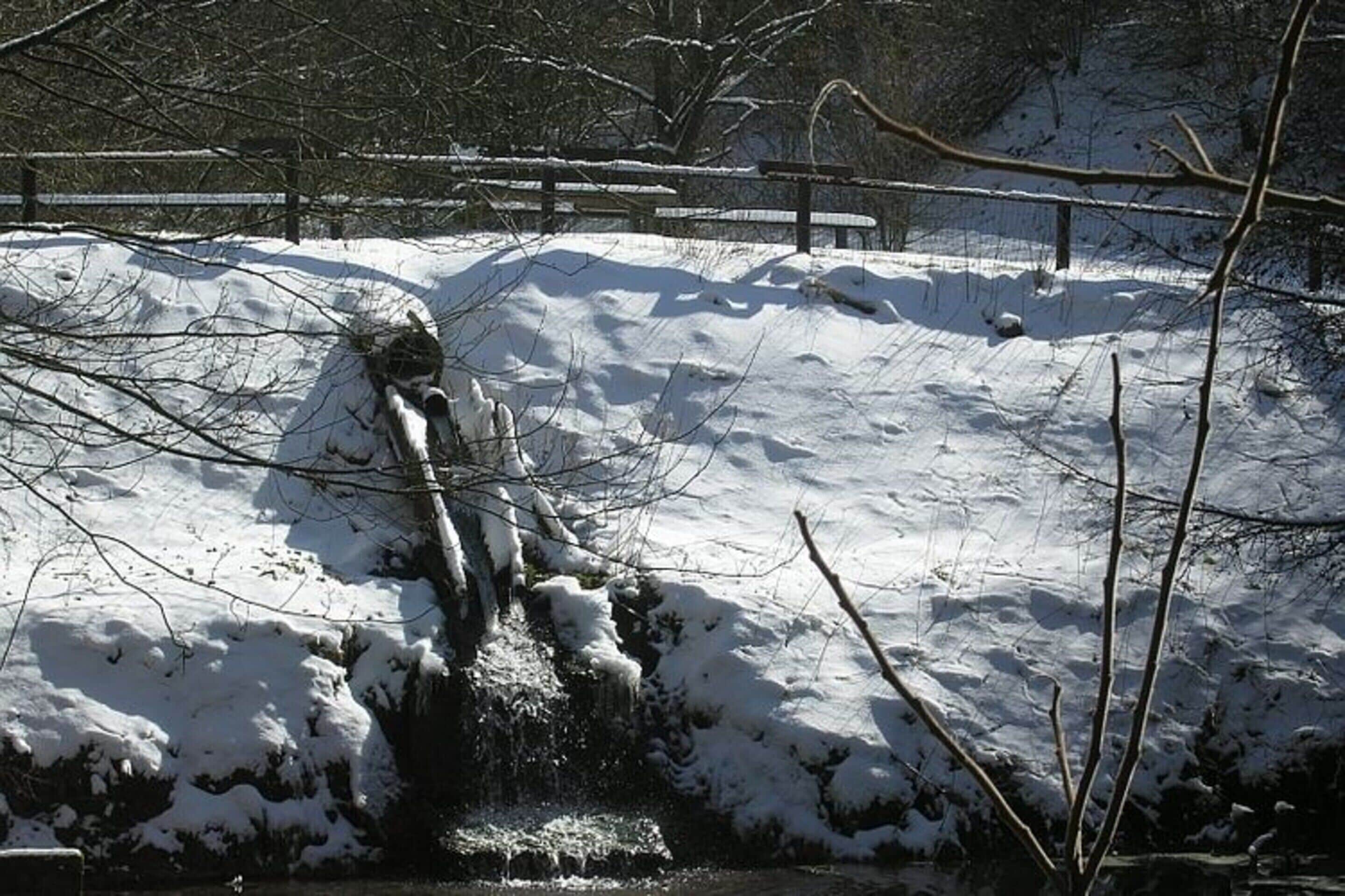 A snow-covered landscape with a wooden bridge and a wooden bench.