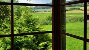 A view through a window with a wooden frame, displaying a lush green landscape with fields and trees.
