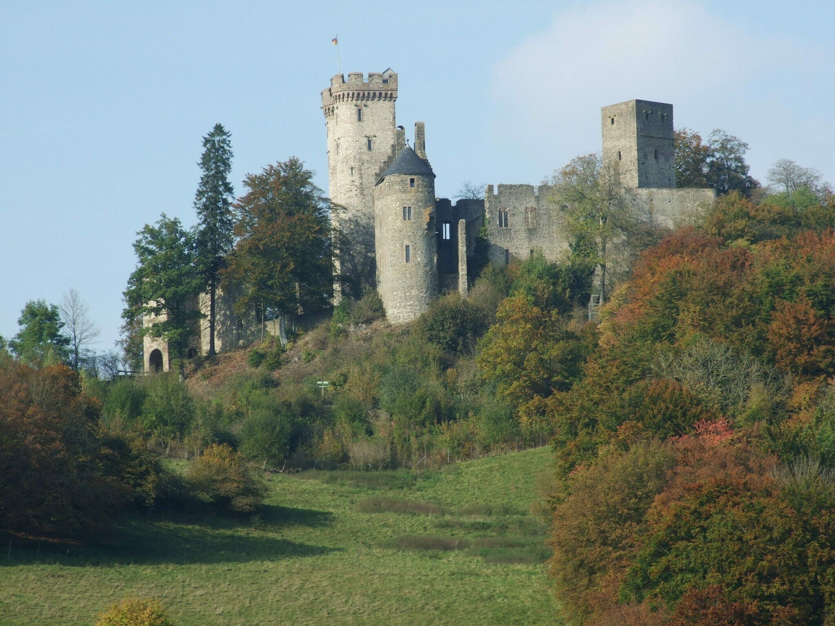 A castle with multiple towers and a central keep, surrounded by dense trees and a grassy foreground.