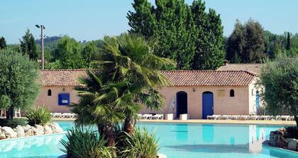 Luxurious Provencal Villa With AC, Near the Nice Vidauban