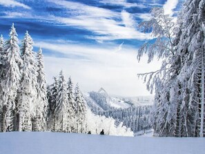 Exterior - Studio Near the Center of Winterberg (Winterberg)