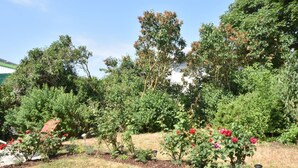 Un jardin où l’on trouve différentes plantes et fleurs, notamment des roses. On aperçoit des arbres et un bâtiment au fond.