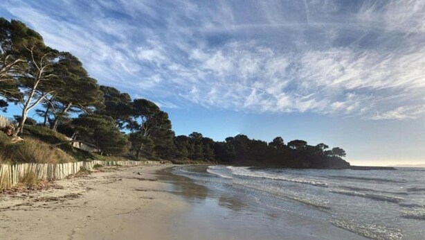 Une plage avec une clôture en bois, des arbres et un ciel dégagé.