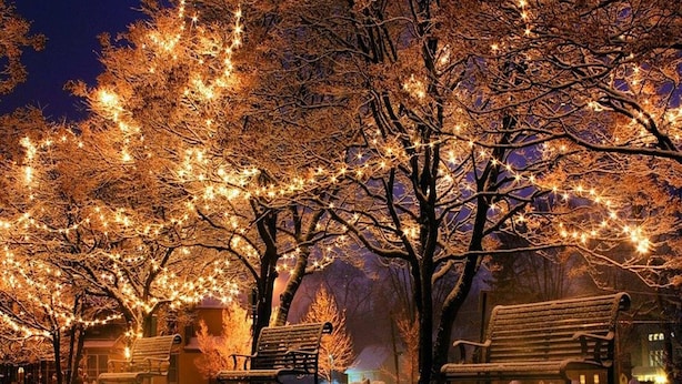 A snow-covered park bench area with trees adorned with string lights.