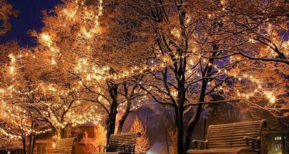 Luxury Holiday Home with Hot Tub at Dutch Coast