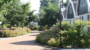 A residential street with houses, a paved road, and lush greenery.