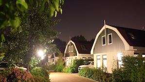 A nighttime view of a residential area with two houses, a paved driveway, and surrounding greenery.