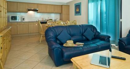 Provencal Villa With Microwave, 1km From Nice Town Vidauban