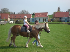 Fitness facility - Nice House With Dishwasher and Large Garden, Near Hoorn (Andijk)