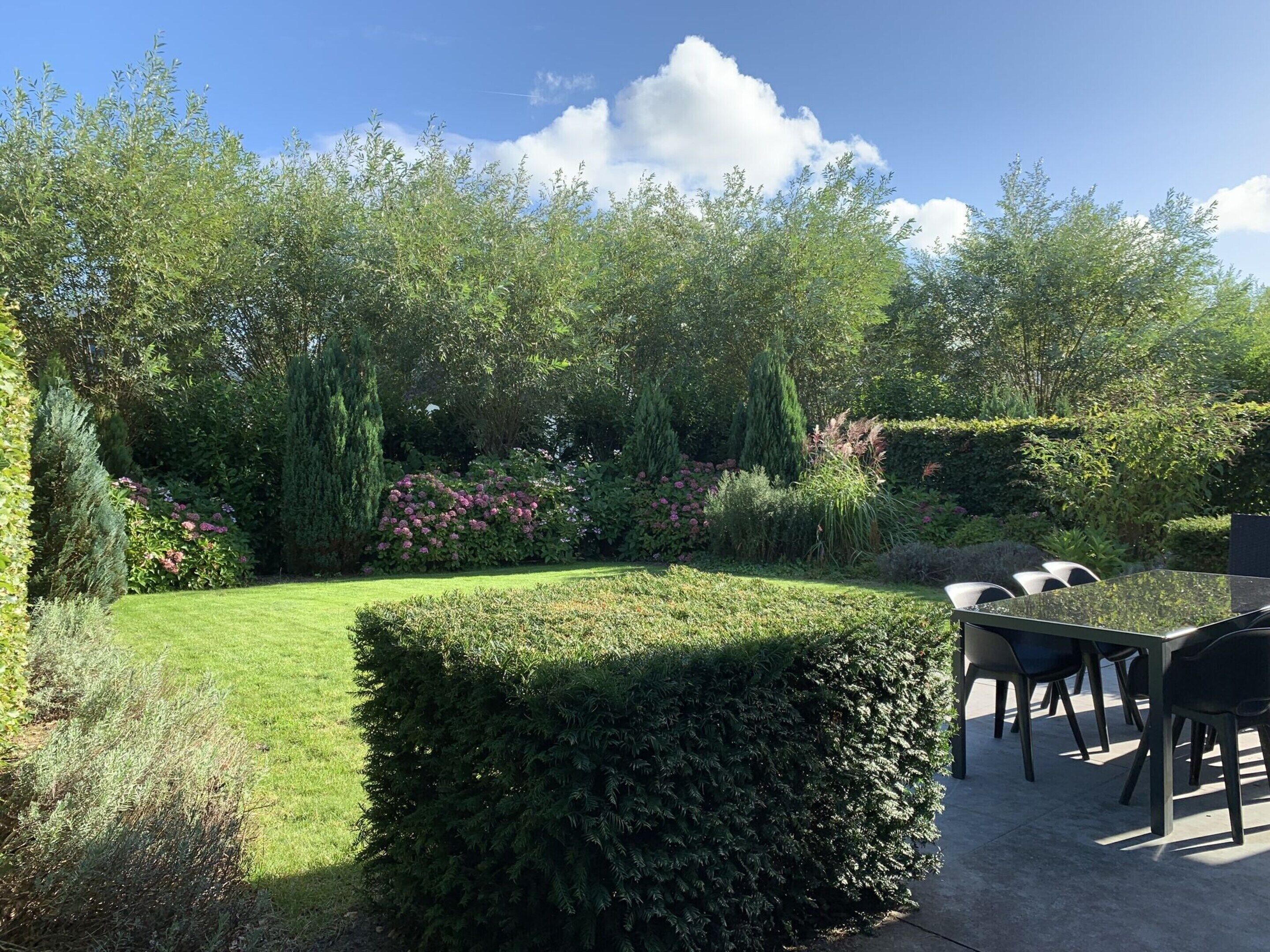 A garden with a table and chairs, surrounded by various plants and hedges.