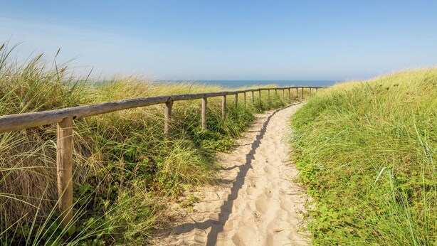 A sandy path with wooden railings leading to a beach. - Family Chalet in Netherlands Holiday Park (Egmond aan den Hoef)