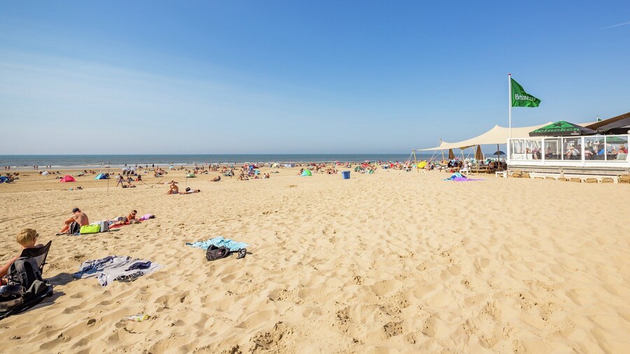 Family Chalet in Netherlands Holiday Park