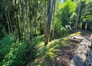 House | View from property