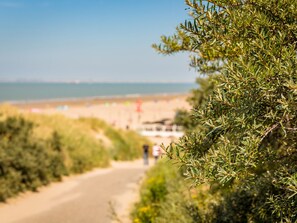 A pathway leading to a beach with a clear view of the sea and beachgoers. - Villa in Nieuwvliet Near Beach Resort (Nieuwvliet)