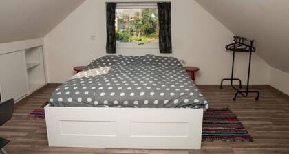 Holiday Home in Quiet Environment near Beach & Dunes